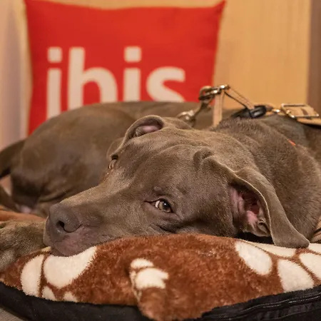 Ibis Marbella Hotel 3*